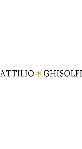 2019 Barolo Bussia Bricco Visette DOCG trocken - Attilio Ghisolfi