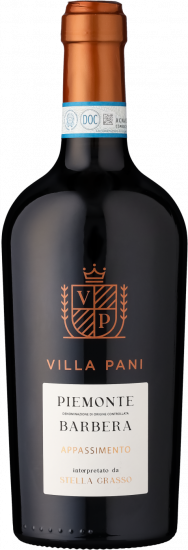 2022 Barbera Appassimento Piemonte DOC halbtrocken - Villa Pani