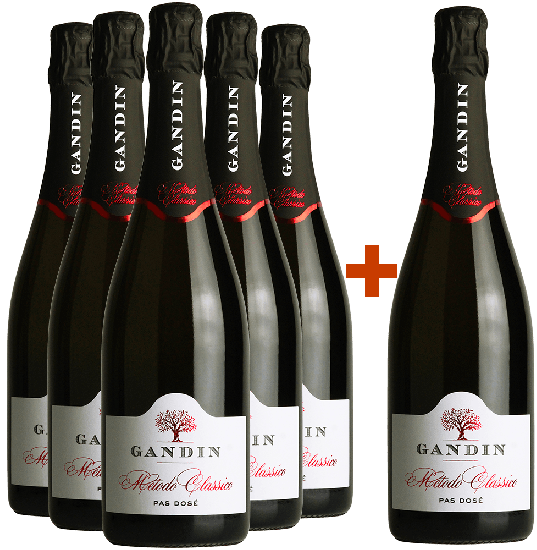 5+1 Paket Metodo Classico - Gandin