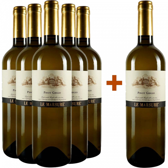5+1 Paket Pinot Grigio Le Marsure Friuli DOC - Teresa Raiz