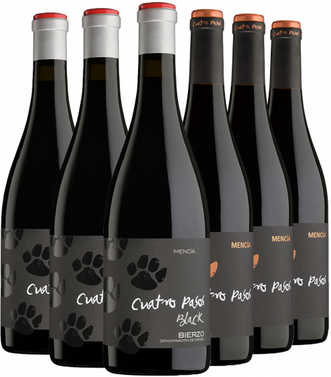 Kennenlernpaket Mencía 4 Pasos Bierzo DO - Bodegas Cuatro Pasos