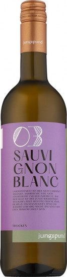 2024 Sauvignon Blanc trocken - Weingut Schloss Affaltrach