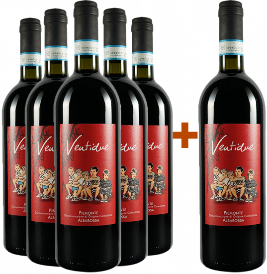 5+1 Albarossa Piemonte DOC - Paschetta vini