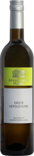 2024 Erste Versuchung trocken - Weingut Arkadenhof Mandl-Brunner