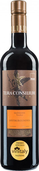 2016 Terra Consilium Spätburgunder trocken - Divino eG