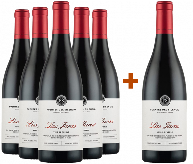 Pack Descuento 5+1 Fuentes del Silencio Las Jaras Castilla y León VT - Fuentes del Silencio