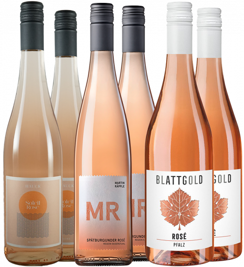 Winterrosé Entdeckung 