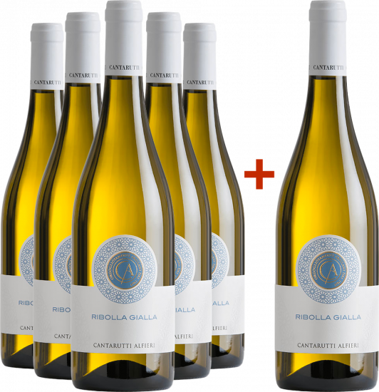 5+1 Paket Ribolla Gialla Friuli Colli Orientali DOC - Cantarutti Alfieri