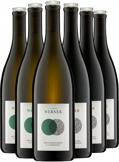Burgunder Probier-Paket rot/weiß BIO Bio - Weingut Arndt F. Werner