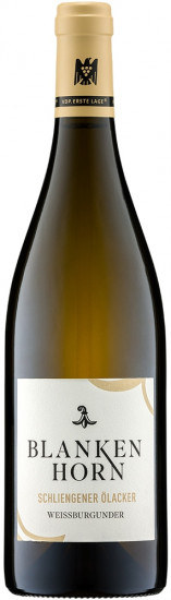 2022 Schliengener Ölacker Weissburgunder VDP.ERSTE LAGE® trocken - Weingut Blankenhorn
