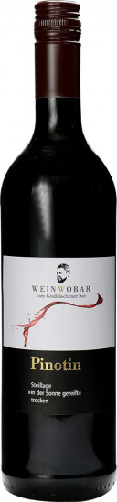 2019 Pinotin vom Steilhang trocken - WeinWobar vom Großräschener See