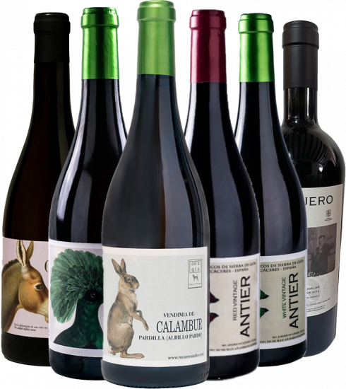 Kennenlernpaket Recuero & Co - Recuero & Co