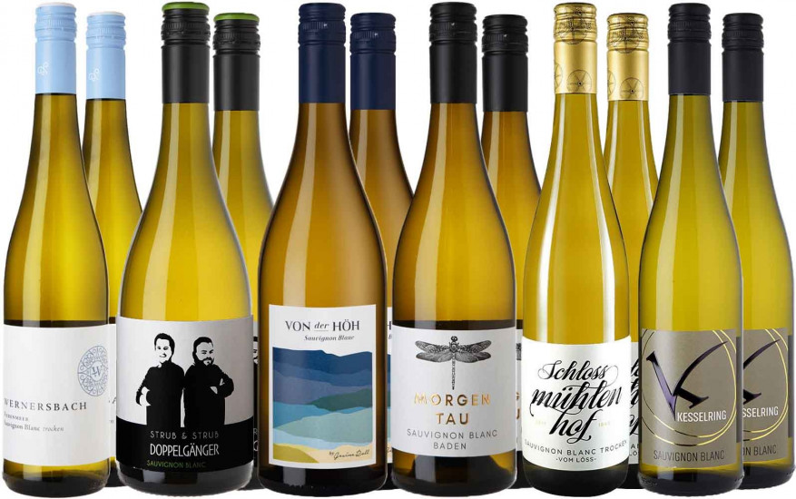 Großes Sauvignon Blanc Entdecker-Paket 