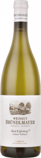 2020 Bründlmayer Käferberg Ried Grüner Veltliner trocken Bio - Weingut Bründlmayer