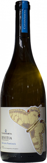 2023 Divitia Lazio IGP trocken Bio - CantinAmena