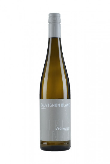 2024 Sauvignon Blanc Gutswein trocken - Weingut Weber Ettenheim