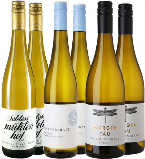 Sauvignon Blanc Entdecker-Paket