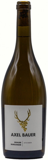 2019 Grauburgunder trocken - Weingut Axel Bauer