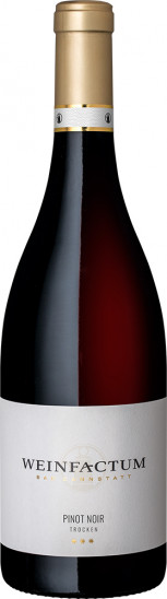 2022 Pinot Noir *** trocken - Weinfactum