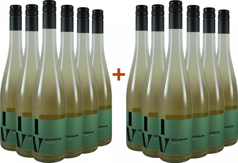 6+6 Civinus Sauvignon Blanc BIO Bio - Weingut Franz