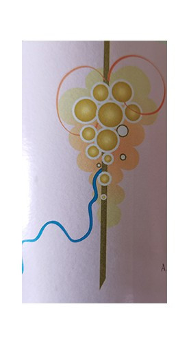 2017 Blauschiefer Riesling Qualitätswein feinherb - Alfons Bollig
