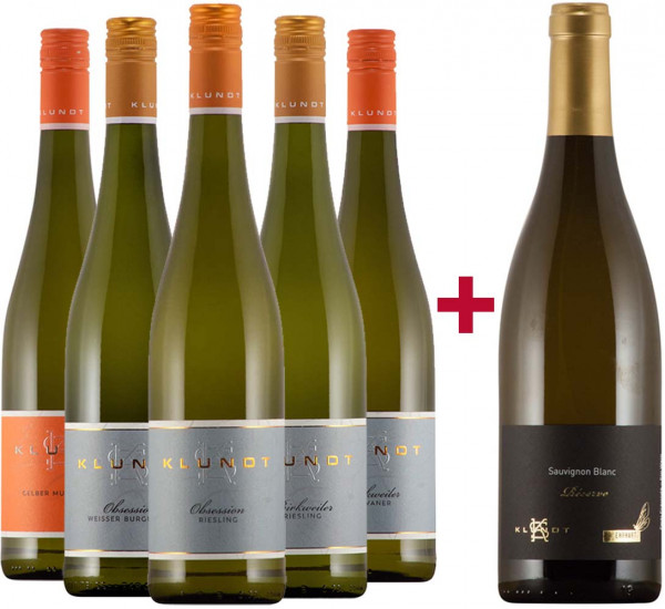 5+1 Weingut Klundt Entdeckerpaket - Weingut Sven Klundt