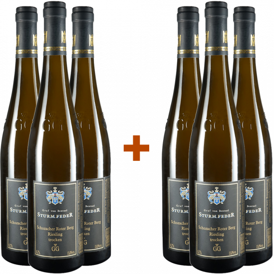 3+3 Paket 2019 Riesling Großes Gewächs trocken - Weingut Graf von Bentzel-Sturmfeder