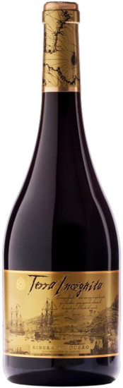 2022 Terra Incognita Ribera del Duero DO trocken - Bodegas Vilano