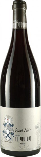 2022 Spätburgunder Pinot Noir trocken - Weingut Burgkeller