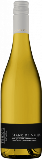 2022 Recher Herrenberg Blanc De Noir | im Barrique gereift trocken - Weingut O.Schell