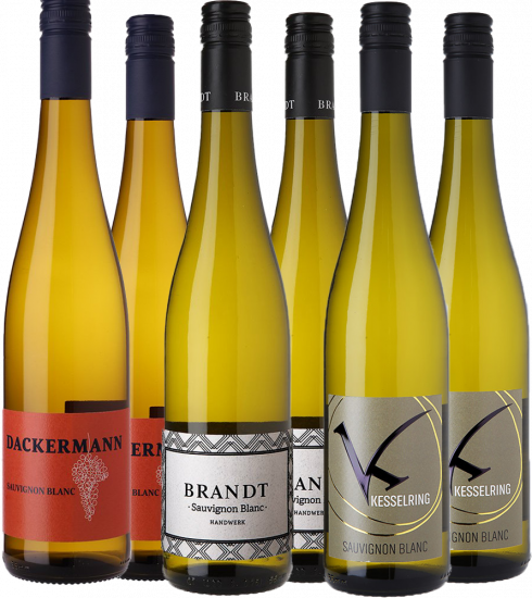 Sauvignon Blanc Entdecker-Paket