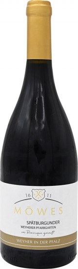 2023 Spätburgunder trocken - Weingut Möwes