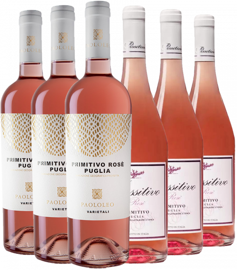 Cantine Paololeo Primitivo Rosé-Paket - Cantine Paololeo