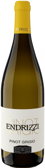 2024 Pinot Grigio Trentino DOC trocken - Endrizzi