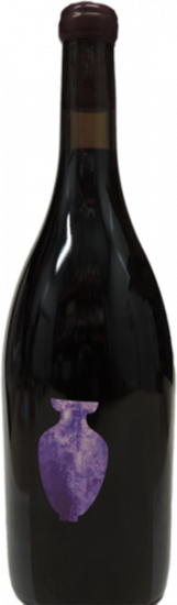 2023 L'Amphoirée trocken - Domaine des Bourrats