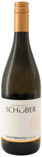 2024 Welschriesling Selection trocken - Weingut Ing. Richard Schober