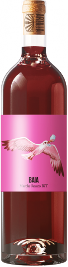 2023 Baia Marche IGP trocken - Agricola Arzilla