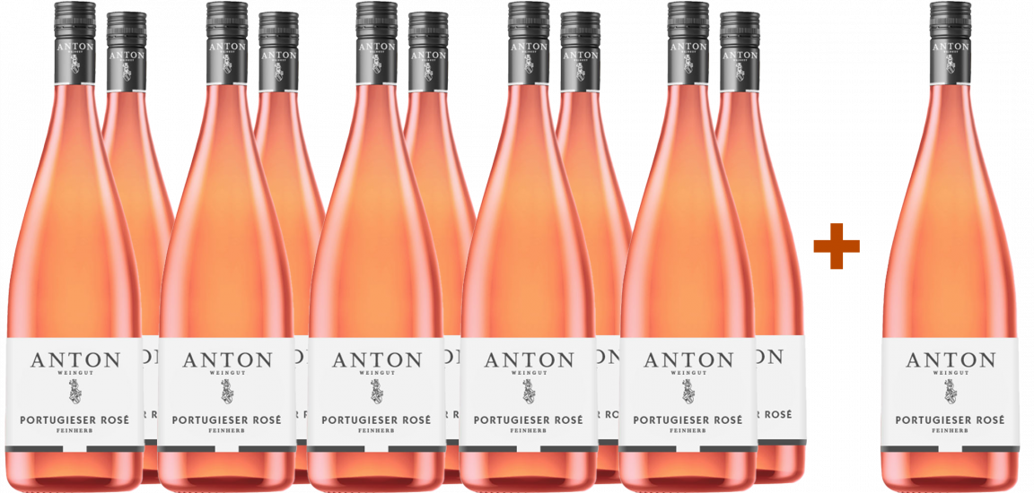 11+1 2024 Portugieser Rosé Weißherbst - Weingut Anton