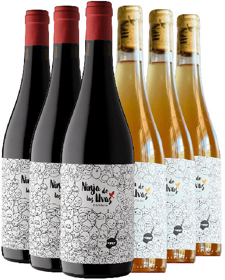 Kennenlernpaket Julia Casado Ninja Bullas DO Bio - Julia Casado