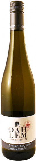 2024 Oppenheimer Kreuz Grauer Burgunder trocken - Weingut Dr. Dahlem