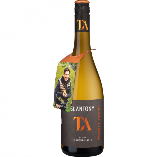 2024 Thomas Anders Grauburgunder trocken - Weingut St. Antony