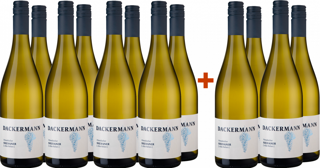 8+4 Paket Hesslocher Silvaner (Alte Reben) Ortswein - Weingut Dackermann