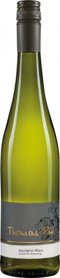 2025 Guntersblumer Steig-Terrassen Sauvignon Blanc trocken - Weingut Thomas-Rüb