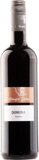 2022 Domina trocken - Weingut Lother