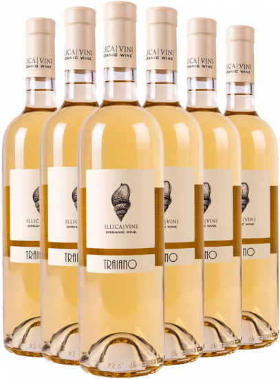 Traiano-Paket Bio - Azienda Vitivinicola Illica