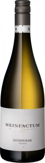 2024 Sauvignon Blanc ** trocken - Weinfactum