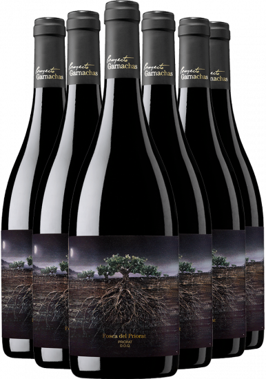  - Proyecto Garnachas