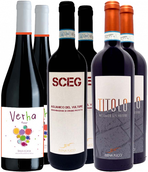 Elena Fucci Kennenlern-Paket Bio - Elena Fucci