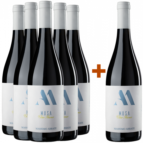 5+1 Paket Musa Bianco - Massimo Abbate