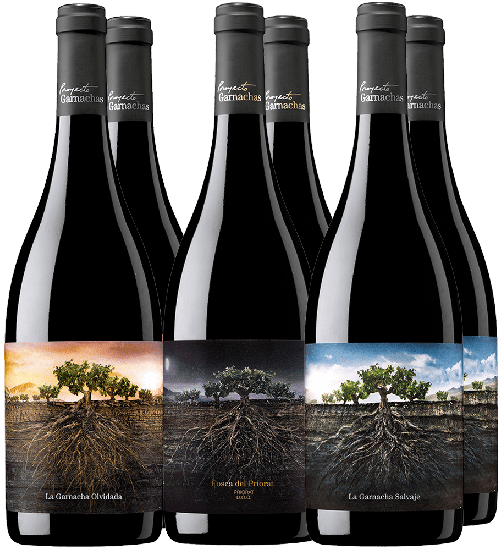  - Proyecto Garnachas